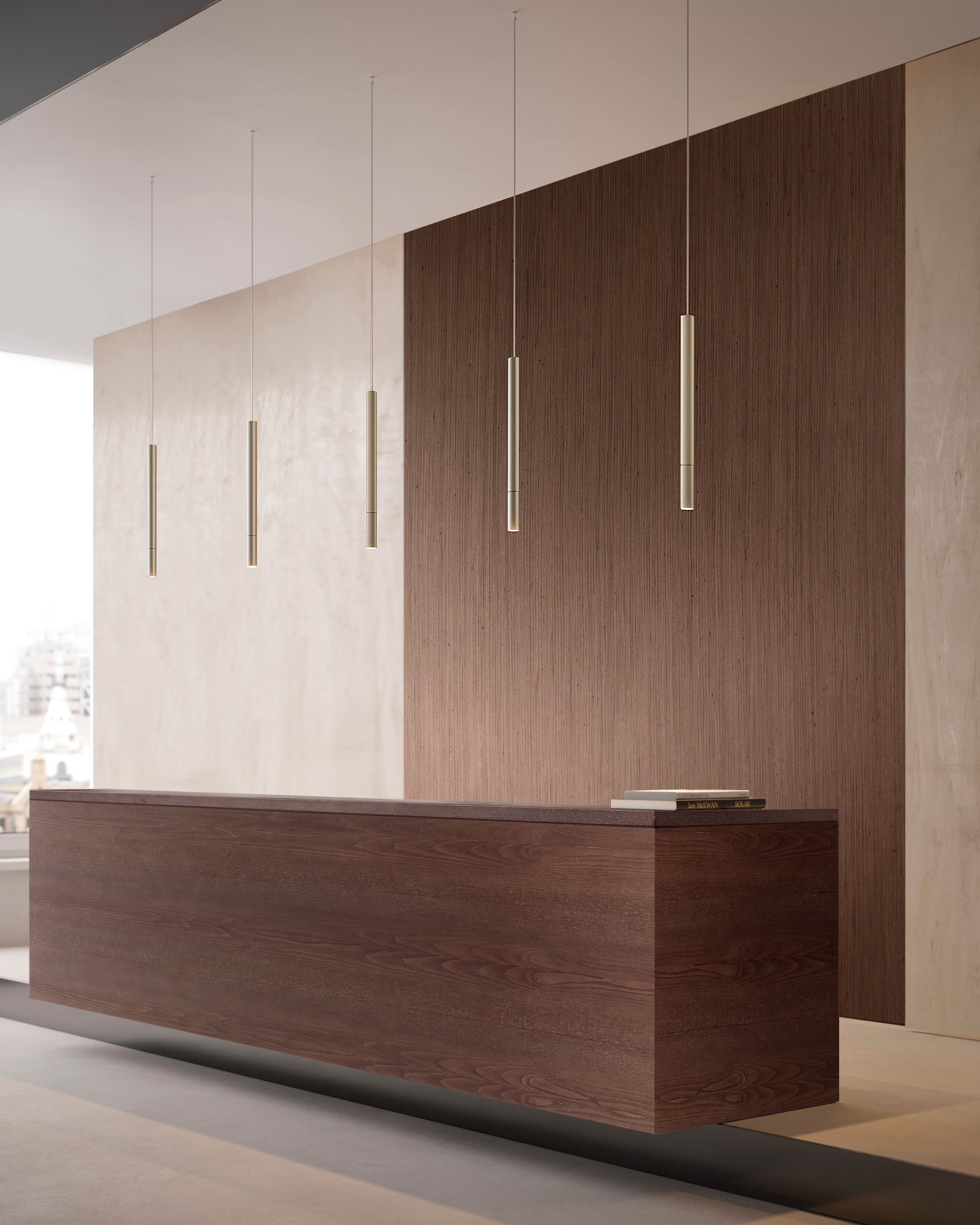 Contardi Lighting Tenebra Suspension Lamp - Bronze Nickel