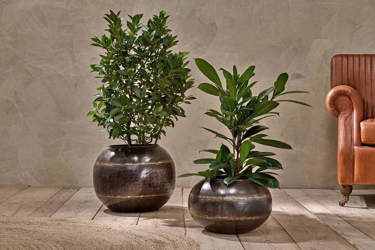 Nkuku - Endo Reclaimed Iron Globe Planter - Large