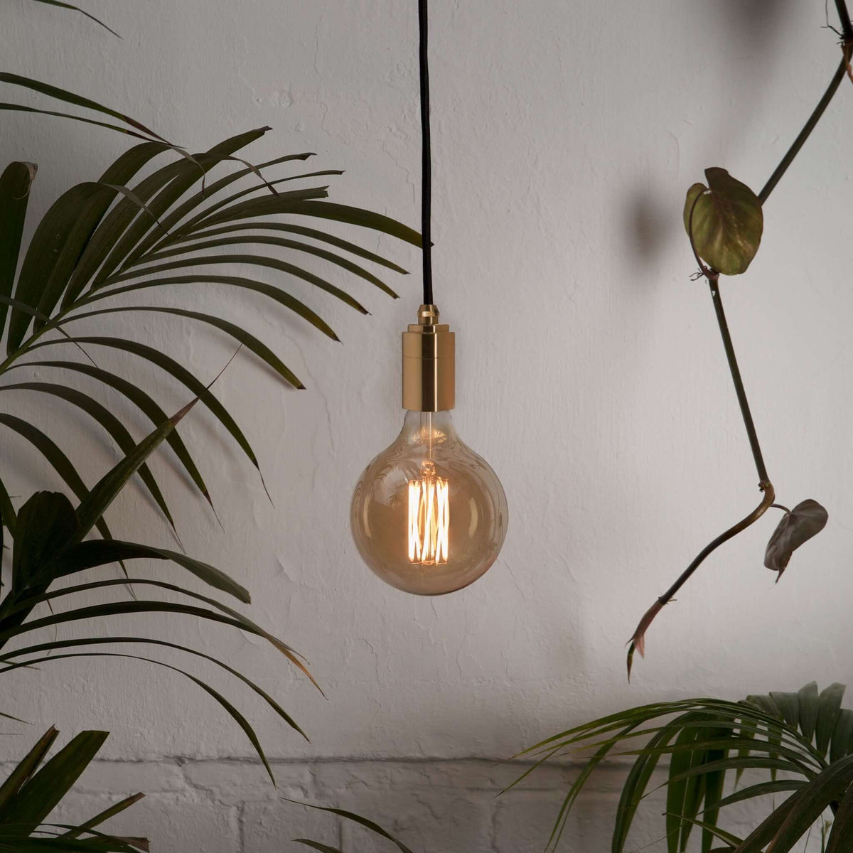 Tala Gaia Pendant Light in Brass