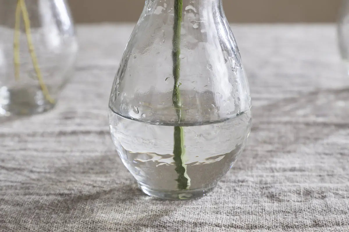 Nkuku - Bapti Bud Vases - Clear - (Set of 3)