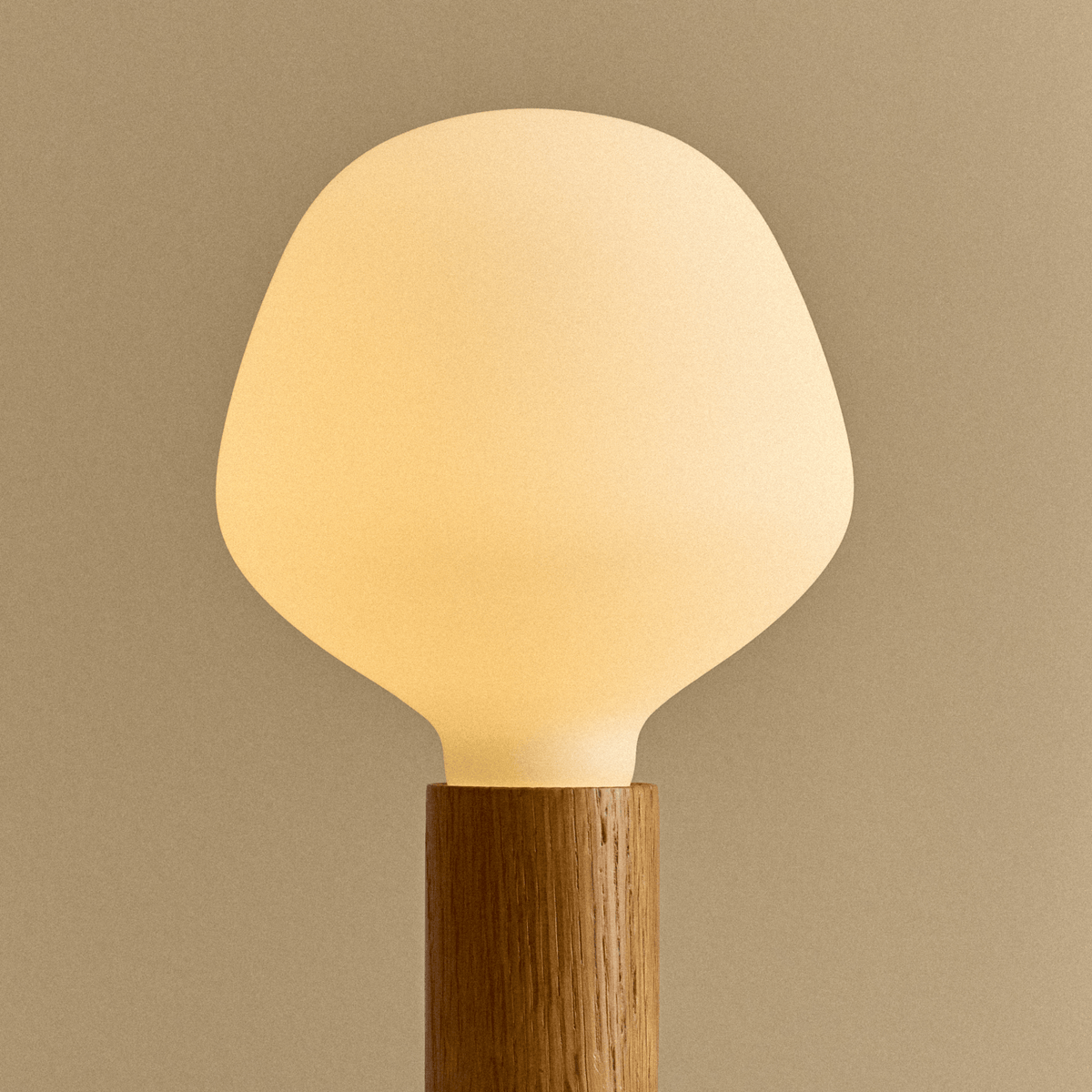 Tala Knuckle Table Lamp in Oak + Enno