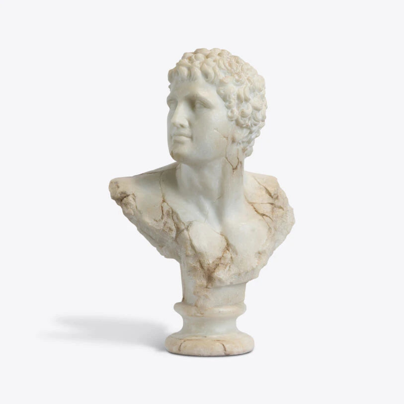 Pure White Lines A Bust Of A Young Apollo