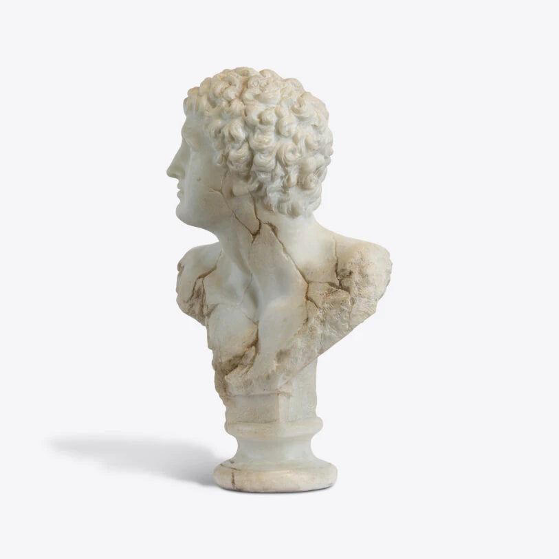 Pure White Lines A Bust Of A Young Apollo