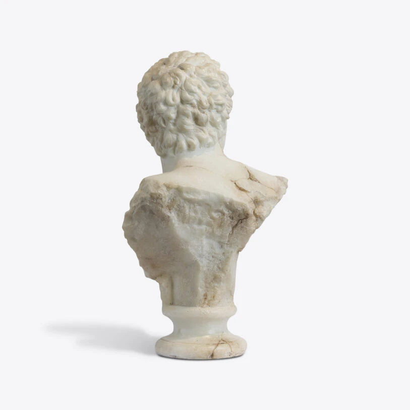 Pure White Lines A Bust Of A Young Apollo