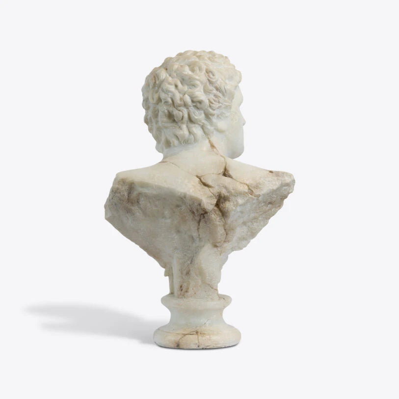 Pure White Lines A Bust Of A Young Apollo