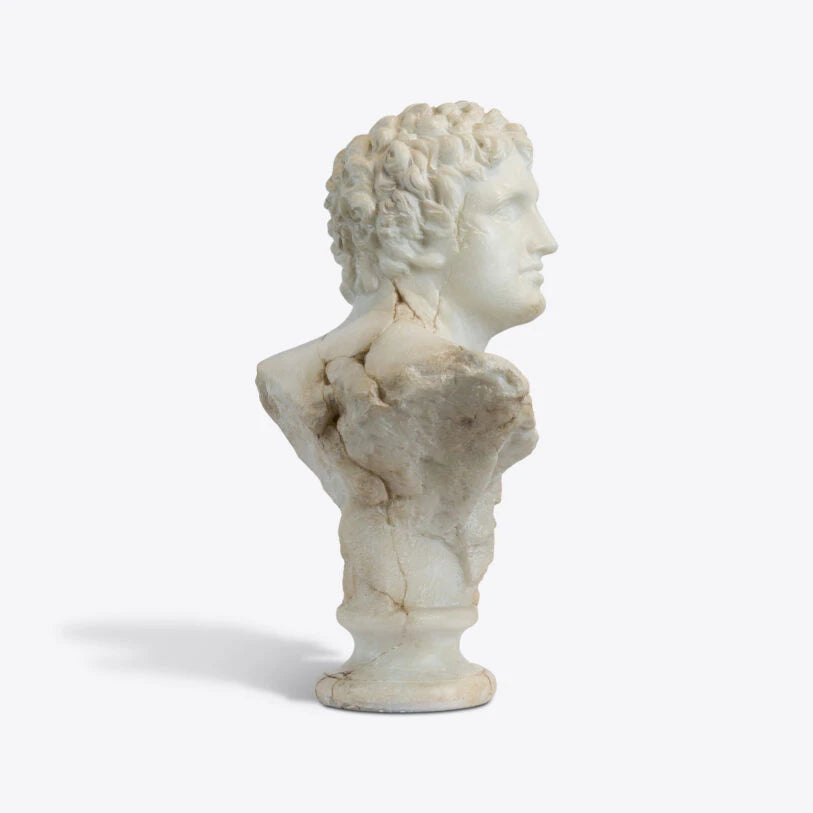 Pure White Lines A Bust Of A Young Apollo