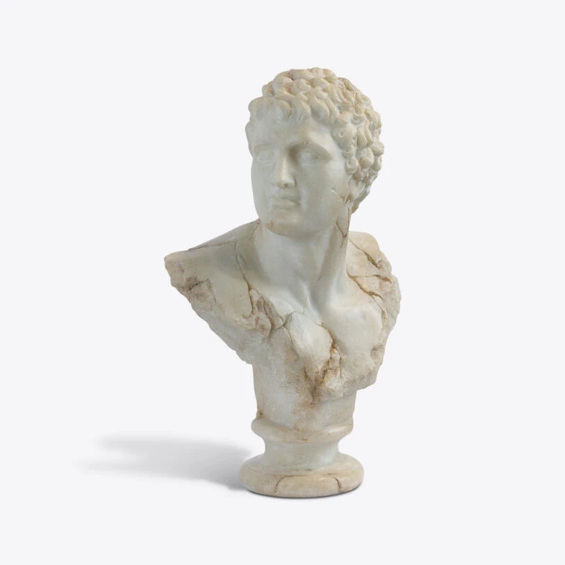 Pure White Lines A Bust Of A Young Apollo