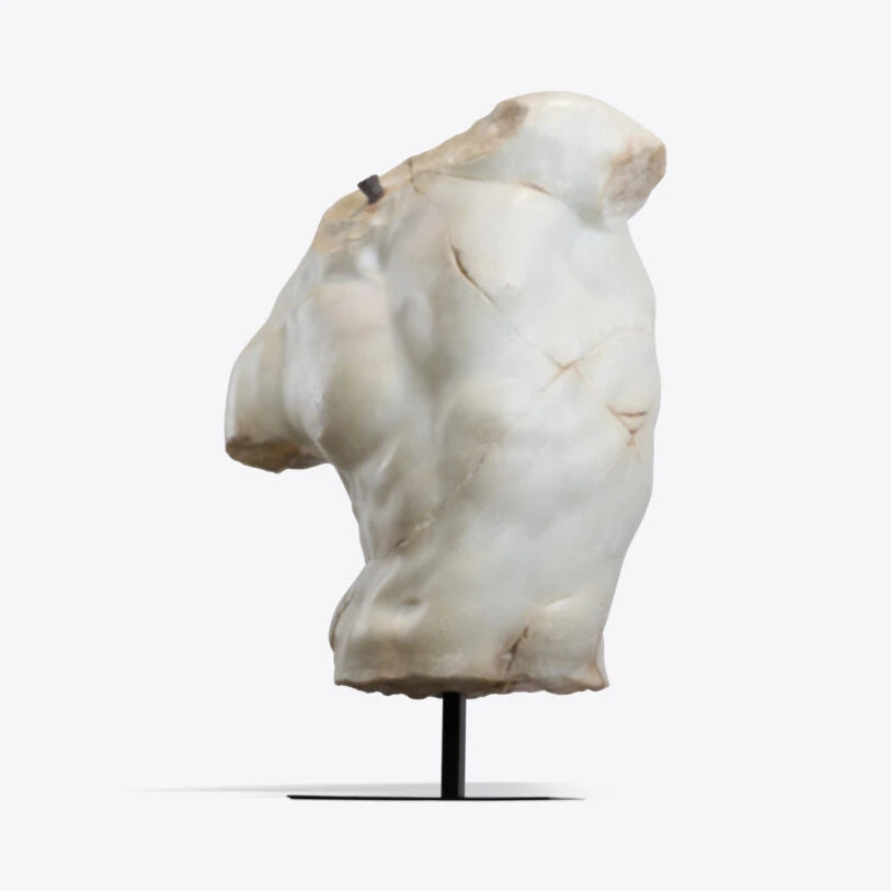 Pure White Lines Sirrus XL Male Torso