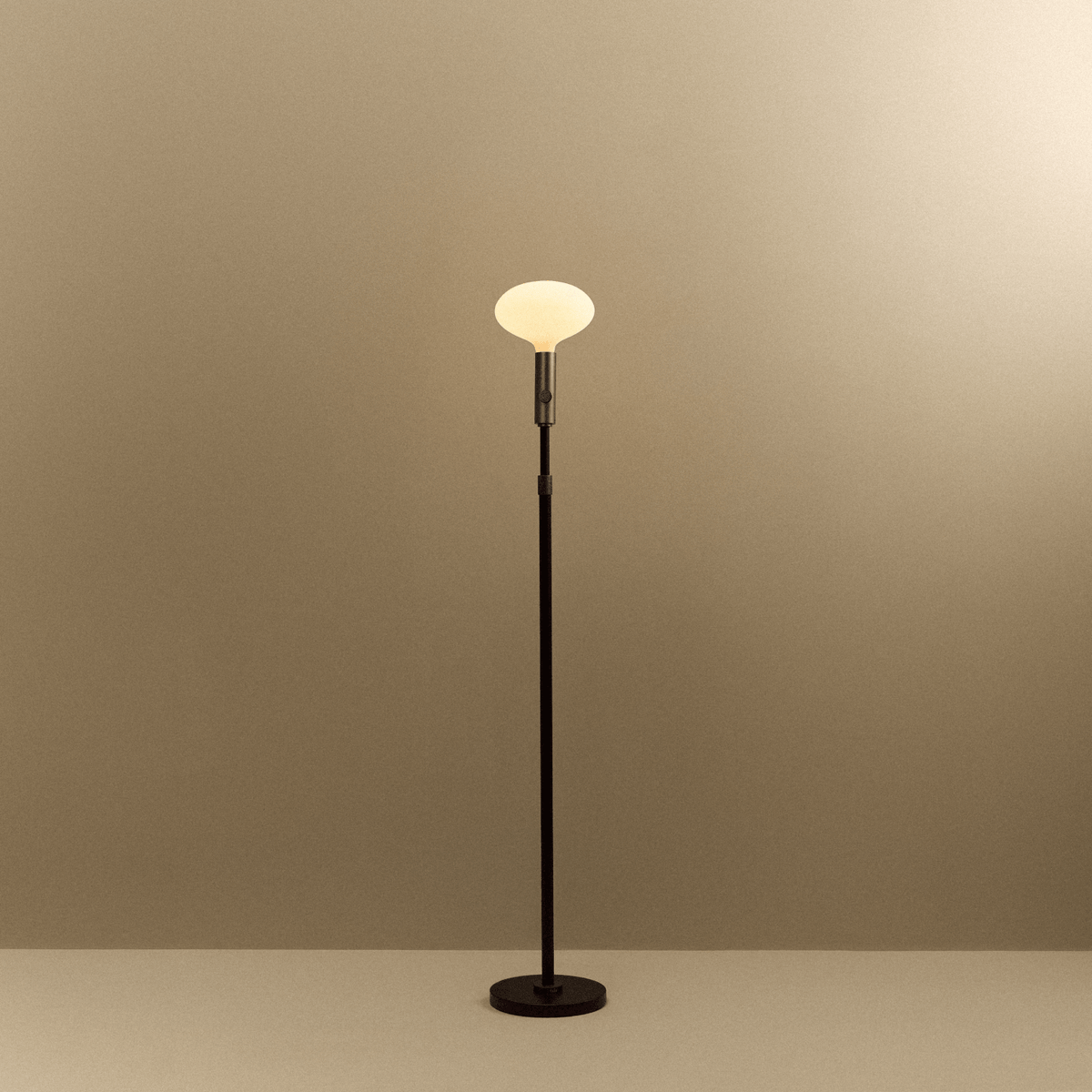 Tala Poise Adjustable Floor Lamp in Graphite + Oval II