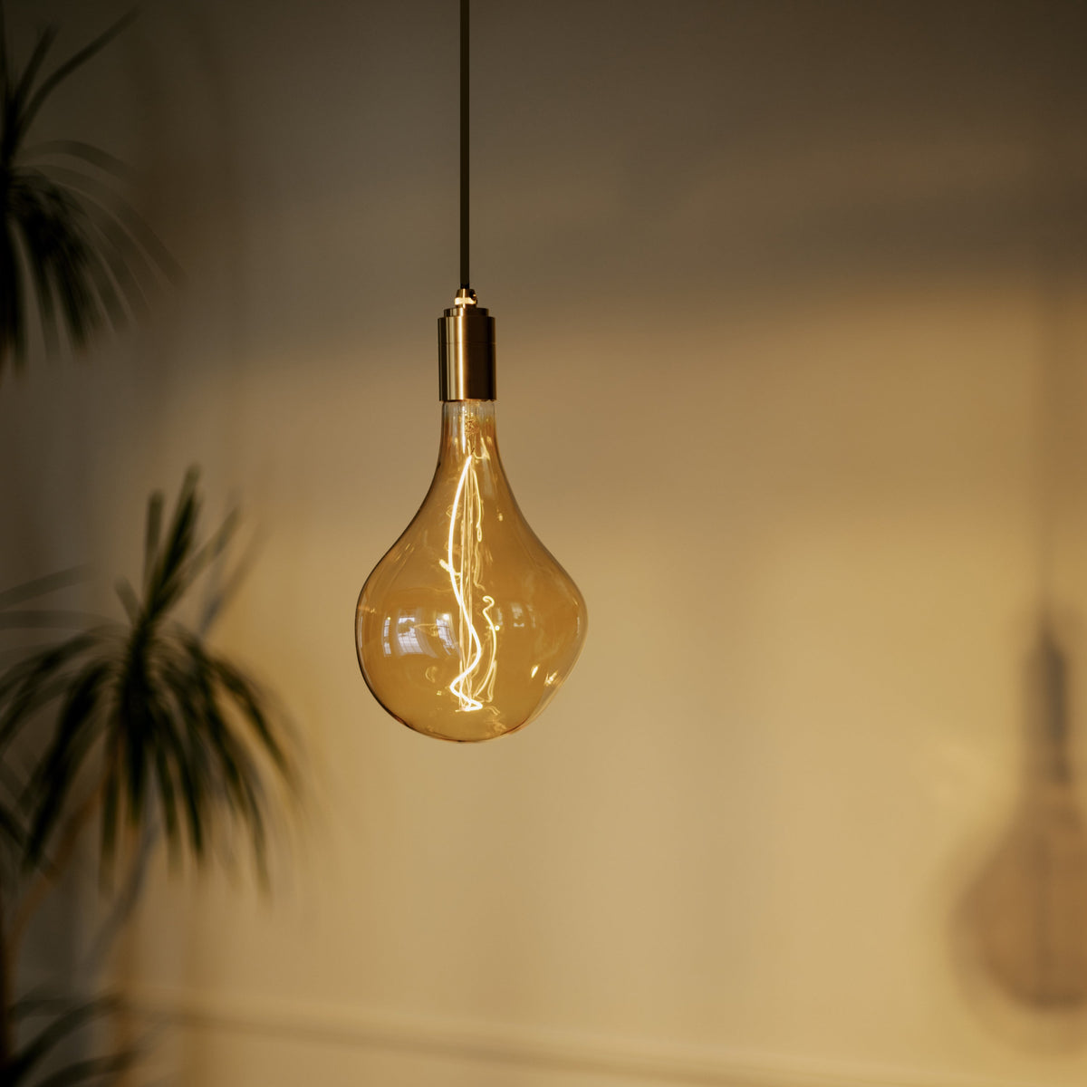 Tala Voronoi II Pendant Light in Brass