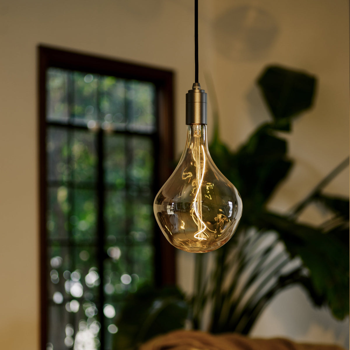 Tala Voronoi II Pendant Light in Graphite
