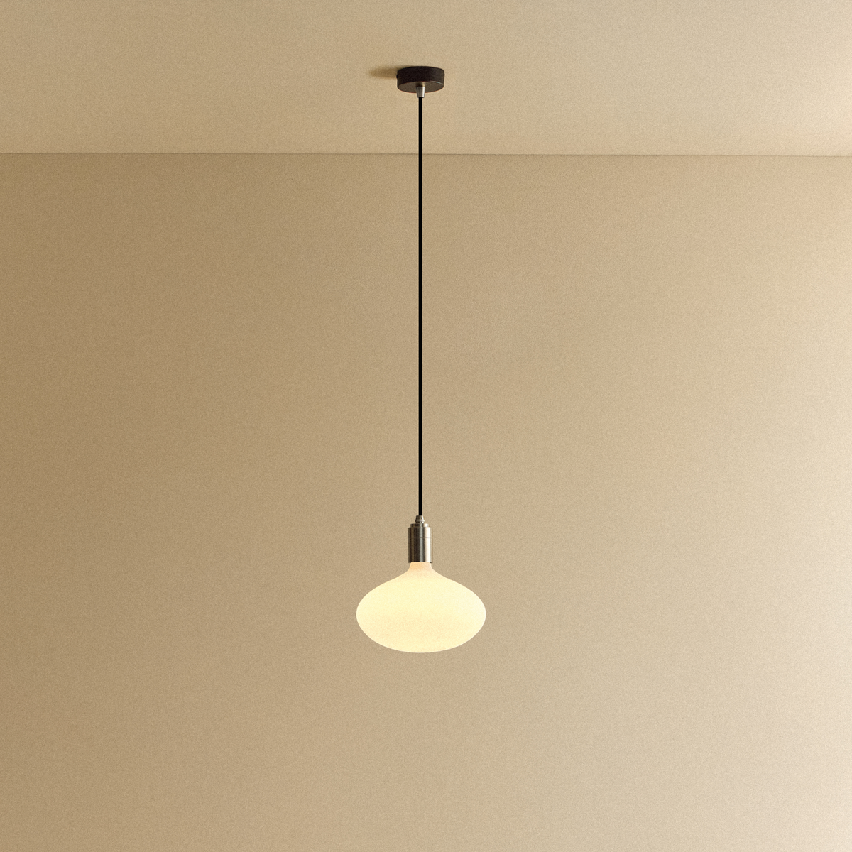Tala Oval II Pendant Light in Stainless Steel