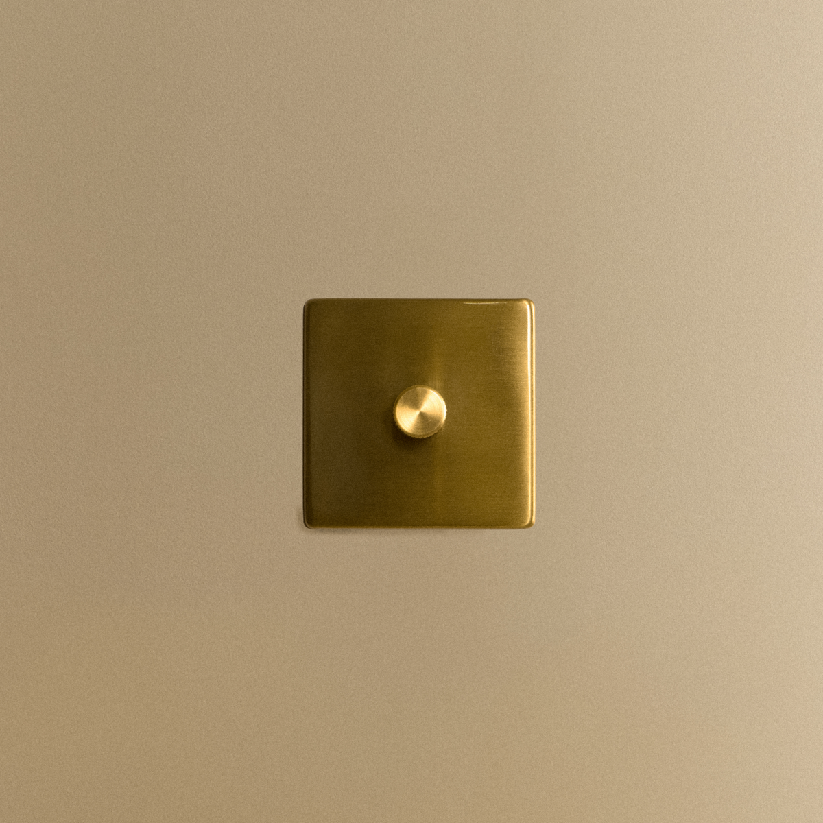 Tala Single Rotary Wall Dimmer in Brass