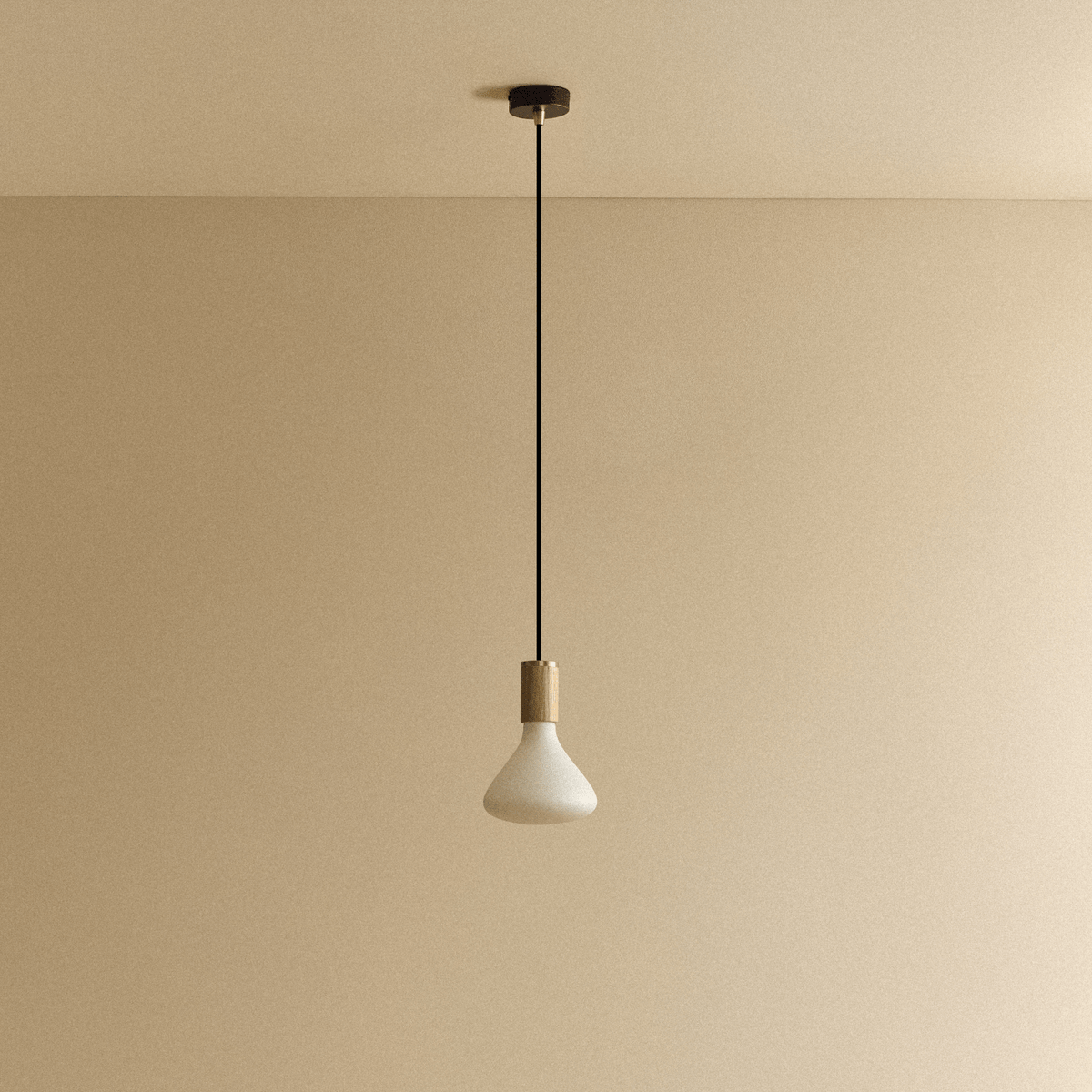 Tala Noma Pendant Light in Oak