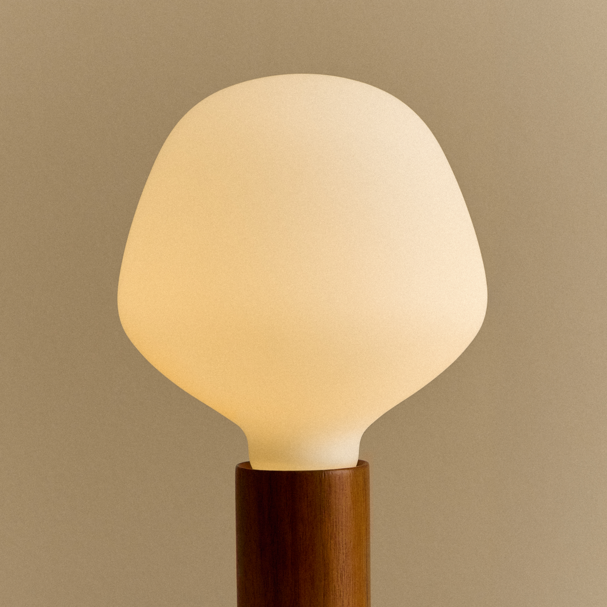 Tala Knuckle Table Lamp in Walnut + Enno