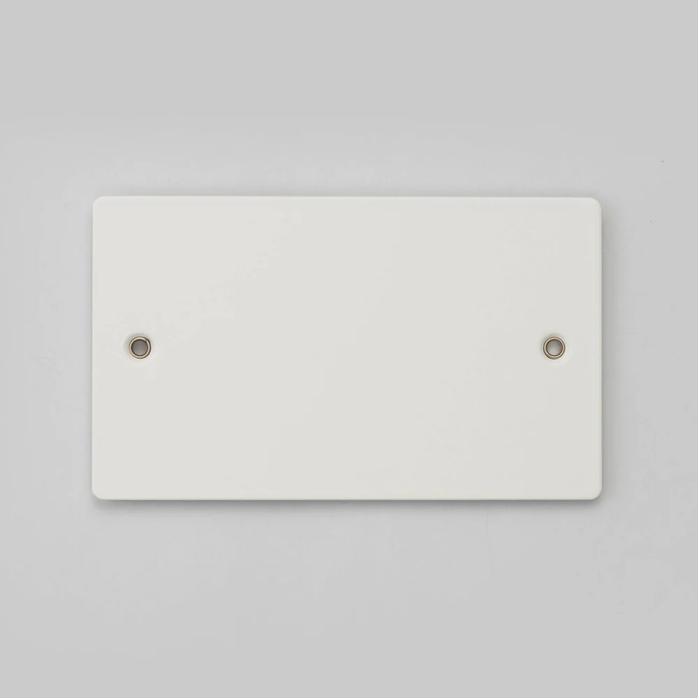 Buster & Punch - 2G Wall Plate Blank - White Finish