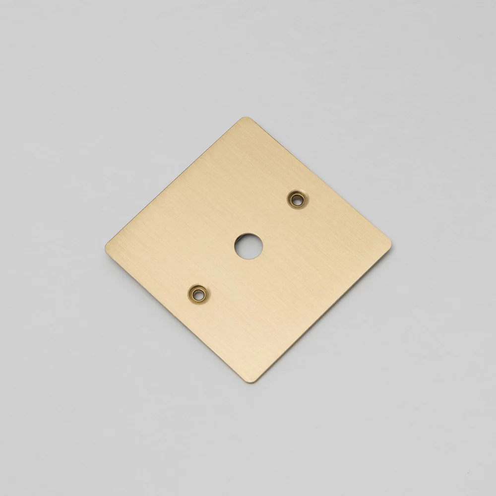 Buster & Punch - 1G Wall Plate Dimmer or Toggle - Brass Finish
