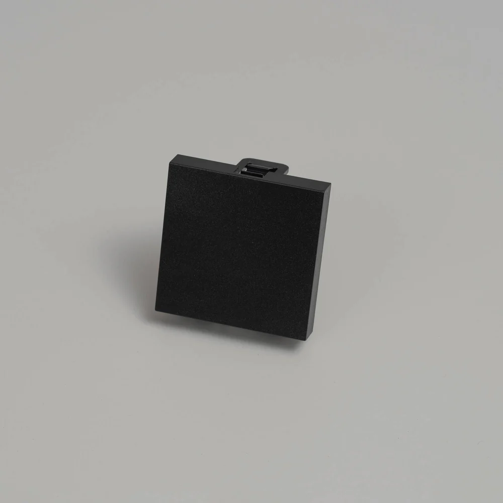 Buster & Punch - Blank Module 45 mm - Black Finish