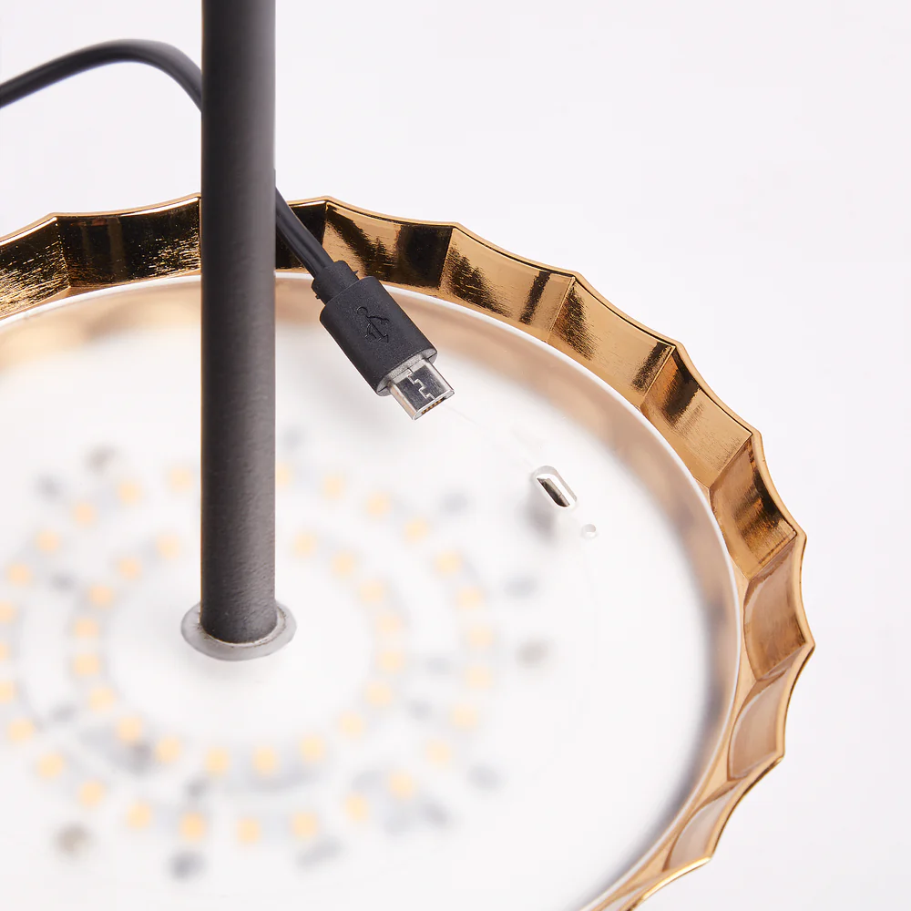 Pooky - Twinky Rechargeable Floor Lamp - Black With Brass Hood
