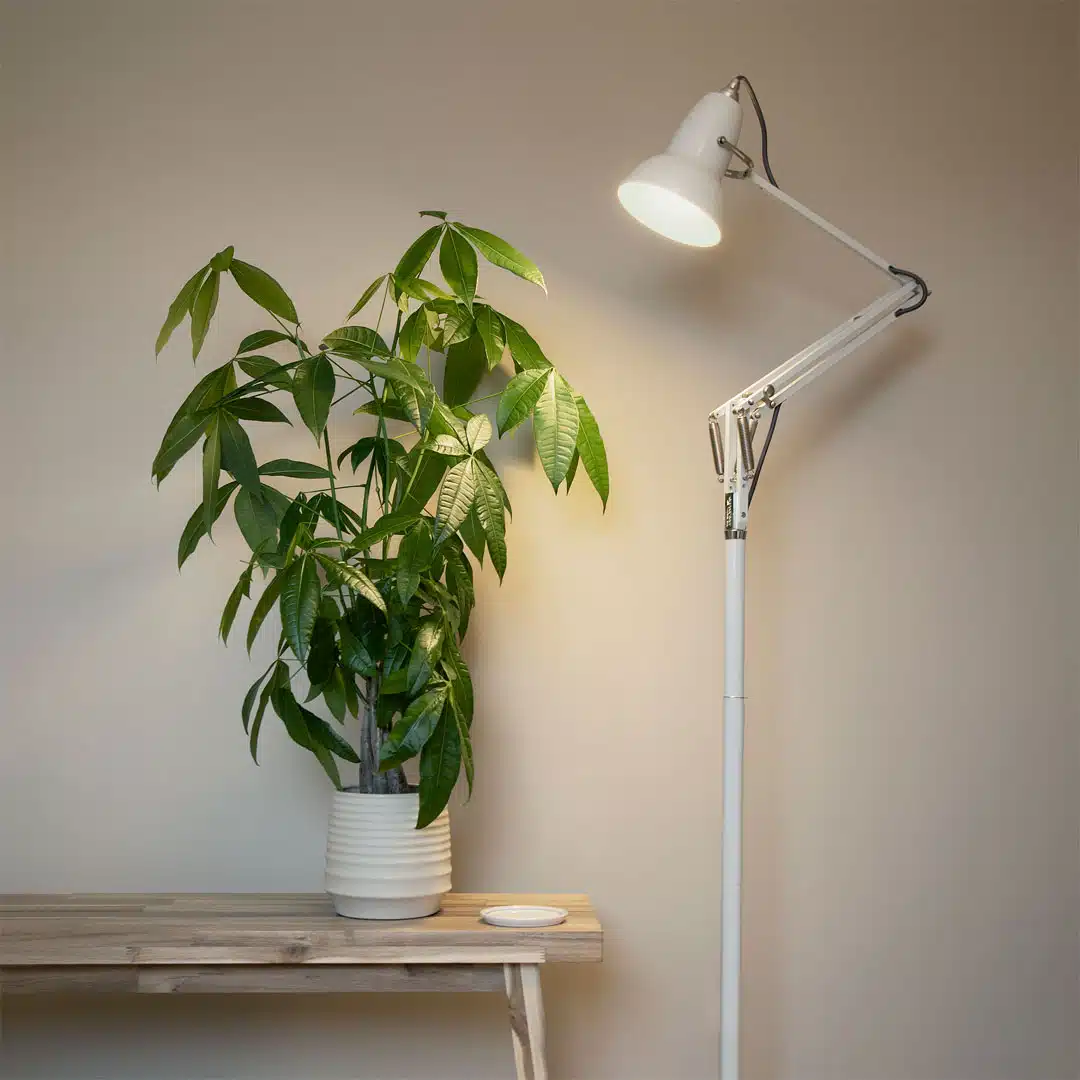 Anglepoise Light - Original 1227 Floor Lamp Linen White - Linen White Finish - Aluminium Shade