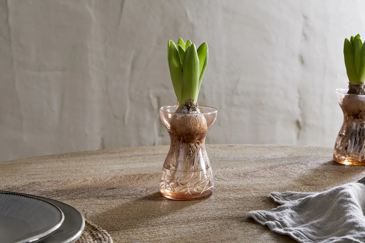 Nkuku - Enir Hyacinth Vase - Dusty Terracotta