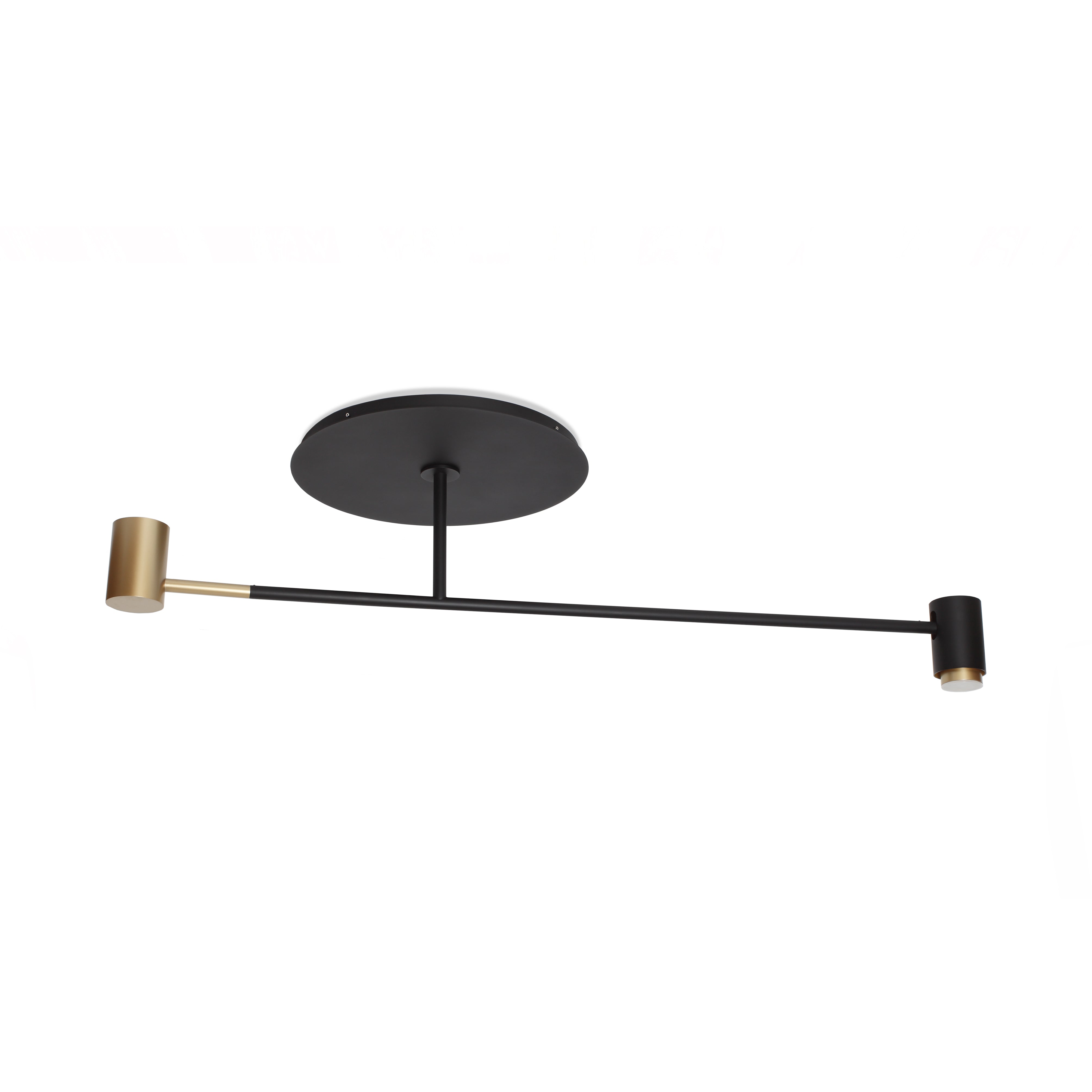 Contardi Lighting Melanocetus Ceiling Light - Satin Gold With Matt Black Lacquered Details - Satin Plexiglass