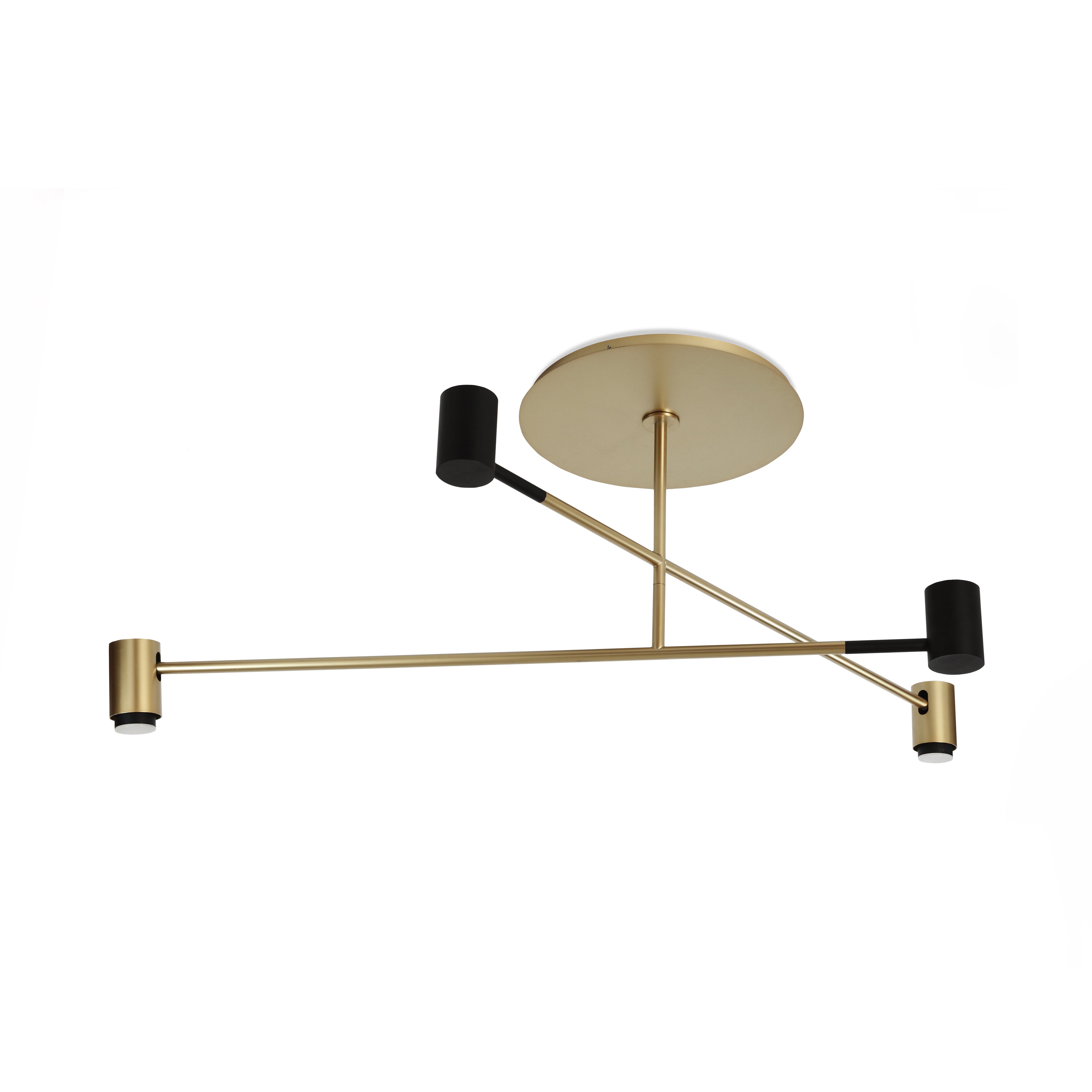Contardi Lighting Melanocetus Double Ceiling Light - Matt Black Lacquered With Satin Gold Details - Satin Plexiglass