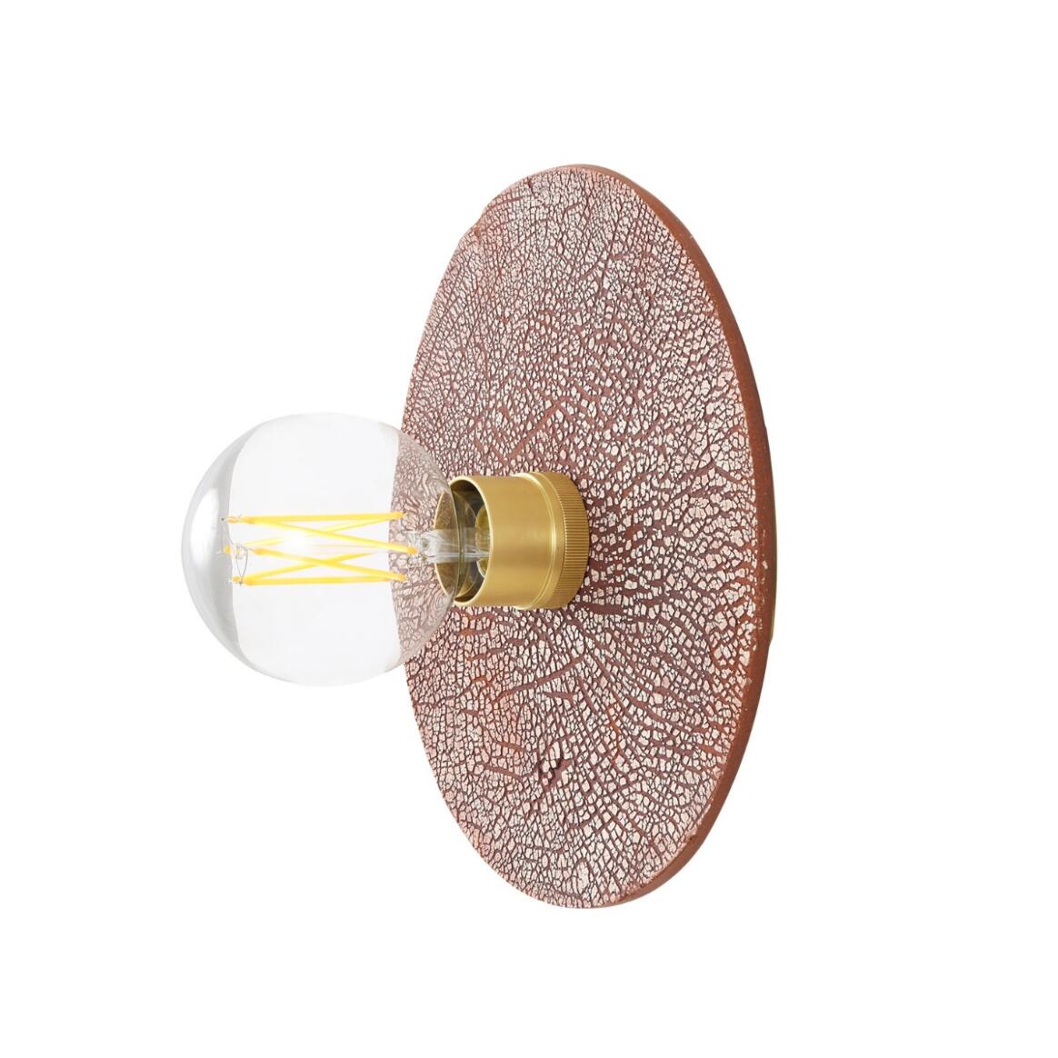 Mullan - Bog Oak Organic Ceramic Disc Wall Light Red Iron 28cm IP20 - Satin Brass Finish