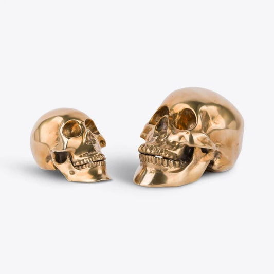 Pure White Lines Solid Brass Skull