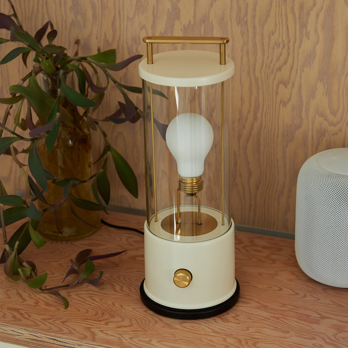 Tala The Muse 1.0 Portable Lamp in Candlenut White Bundle