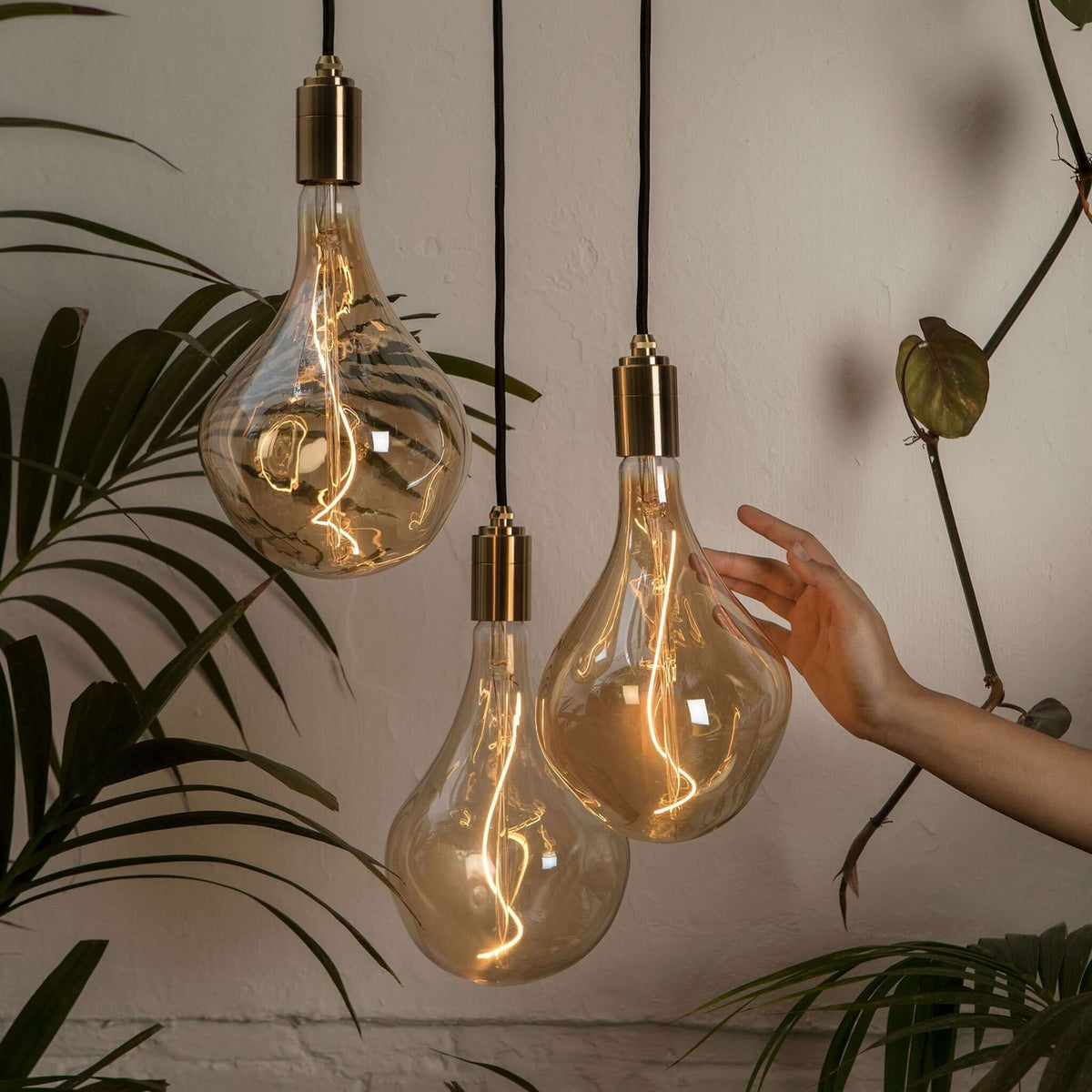 Tala Triple Pendant in Oak + Voronoi II